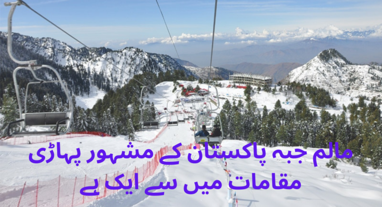مالم جبہ پاکستان کے مشہور پہاڑی مقامات میں سے ایک ہے